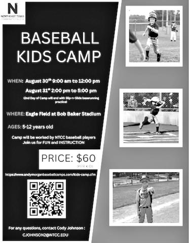 Kids Baseball Camp planned for August 30-31