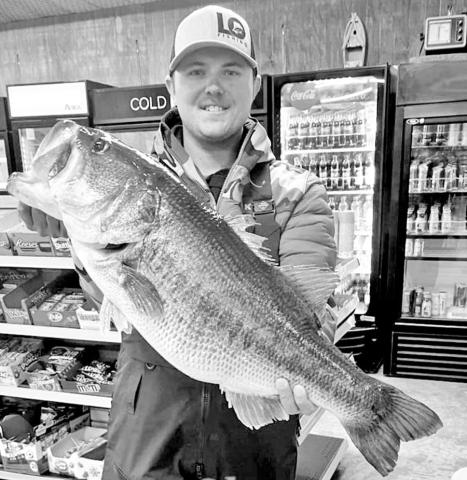 Lane Olson of Mineola caught his 13.26 pound Legacy Lunker using an umbrella rig. (Courtesy Photo)