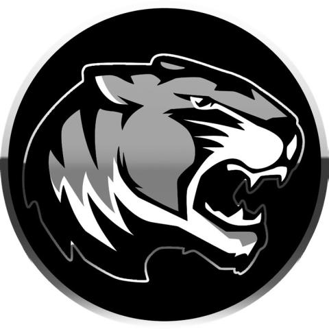 Tigers picked third in district by Dave Campbell’s Texas Football