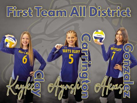 Harts Bluff student athletes earn recognition for their volleyball play