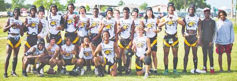 Tigers battle at 7-on-7 state qualifier