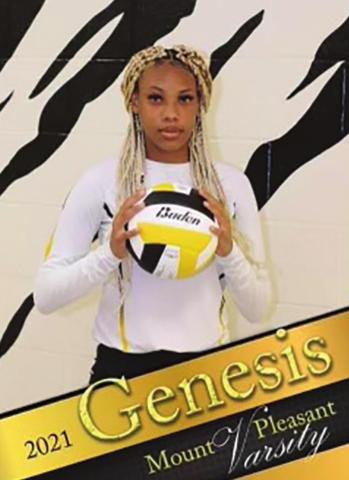 Lady Tigers honored by district coaches