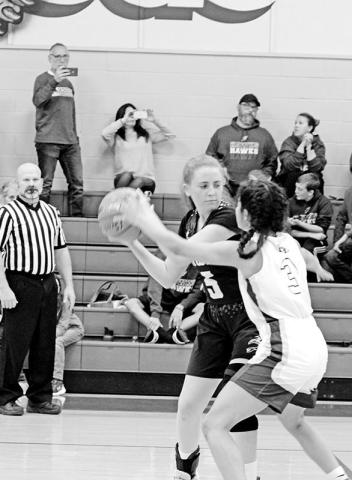 CHAAMP’s Charis Roseberry tries to keep the ball away from Harts Bluff’s Alexa Arzate during Saturday’s game. The Lady Hawks held off the Lady Bulldogs, 26-18. TRIBUNE PHOTO / QUINTEN BOYD