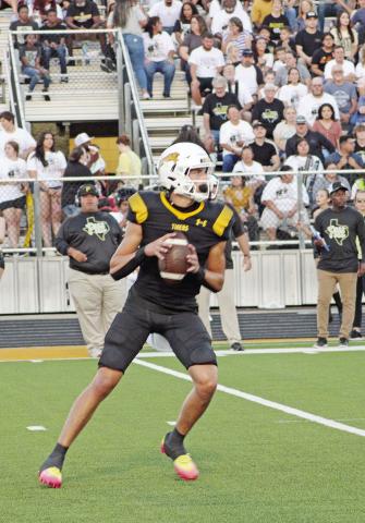 Tigers fall short against L-E, 14-12; travel to meet Emerson Thursday