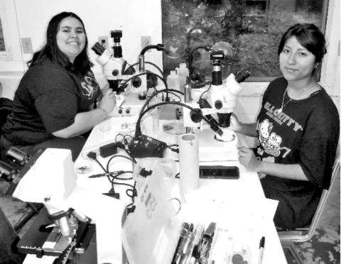 Gracie (left) and Stephanie (right) working at their microscopes, OMBS, Big Fork, Arkansas.