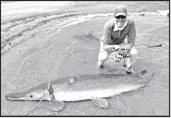IGFA record chaser and light tackle specialist Art Weston with the 212-pound alligator gar he caught and released in September at Choke Canyon Reservoir near Three Rivers. The fish is a pending IGFA 16-pound line class world record and one of six line class world records Weston caught on the same trip. (Courtesy Photo, Art Weston)