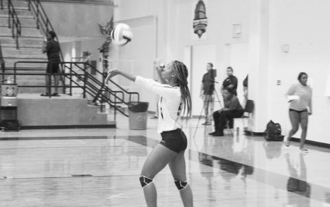 Volleyball