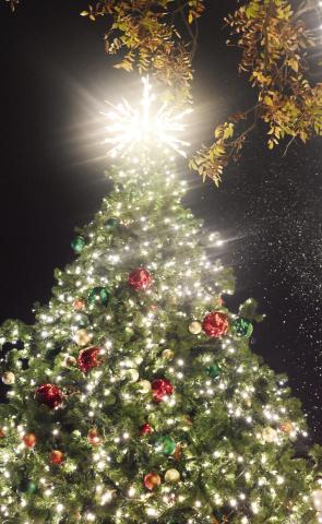 Christmastime is here