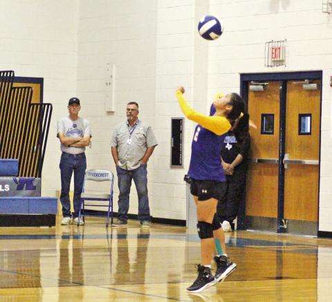TRIBUNE PHOTO / QUINTEN BOYD