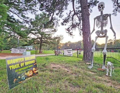 A big, bony friend greets Halloween lovers for Haunted Hallows TRIBUNE PHOTO / NICOLE KIMBALL