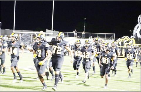 Mother Nature wins out over Tigers, Leopards