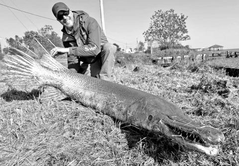Light line specialist Art Weston with the 153 pound alligator gar he landed on April 8 at Lake Livingston. Caught on 2 pound test line, Weston’s catch is a pending line class record and the heaviest freshwater fish ever landed worldwide using 2 pound line. (Courtesy Photo Art Weston)