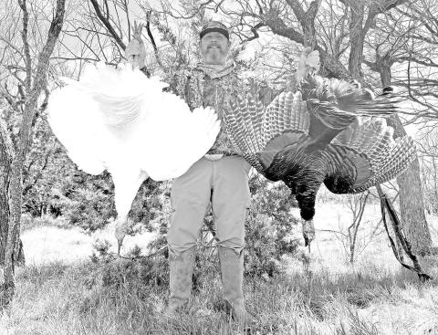 On March 29, Jaret Barrett of Waxahachie was turkey hunting on his 1,000-acre lease in Eastland County when he bagged a pair of Rio Grande gobblers at 40 yards. One of the gobblers had snow-white plumage that is considered exceptionally rare in the wild. (Photo courtesy Jaret Barrett)