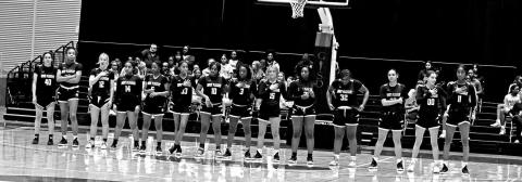 Lady Tigers fall in regional semifinals
