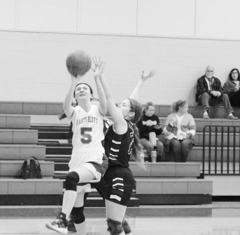 Bulldogs crown CHESS Knights